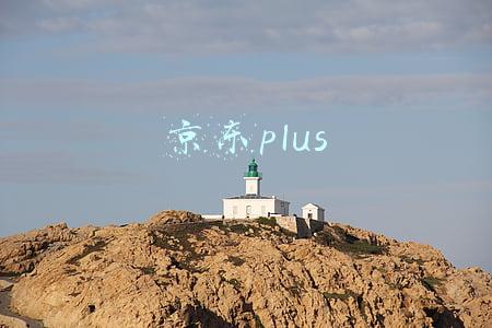 京东plus