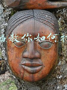 主播教你如何打脸晋江(强推！仙侠修真文，《穿成男二徒弟》《炮灰反派拿迷妹剧本》精彩)