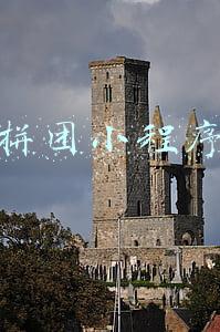 拼团小程序