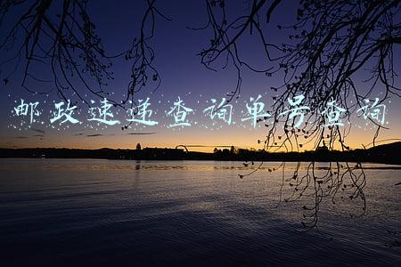 邮政快递查询单号查询官网(世界邮政日 |把快递送到你手里总共需要几步？)