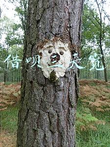 蚂蚁借呗三天宽限期