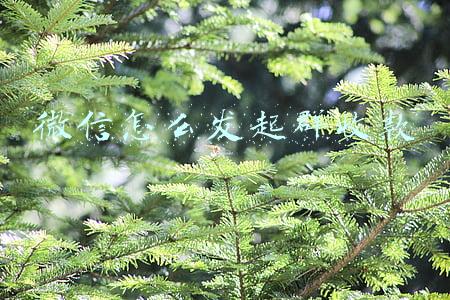 微信怎么发起群收款