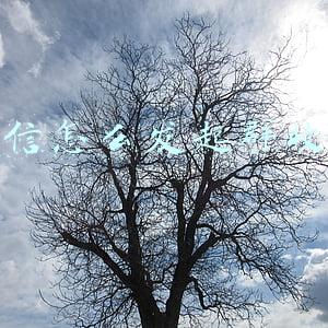 微信怎么发起群收款