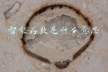 智能存款是什么意思