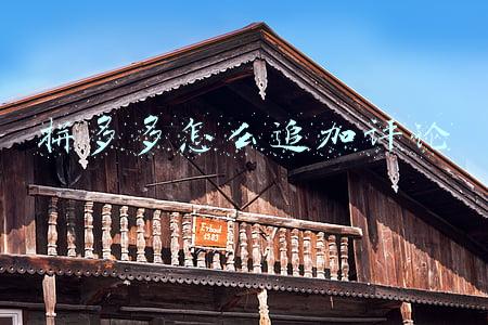 拼多多追加评论在哪里(《拼多多》追加评论方法)