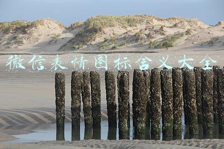 微信表情图标含义大全