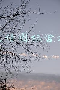微信表情图标含义大全