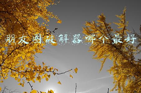 朋友圈破解器哪个最好