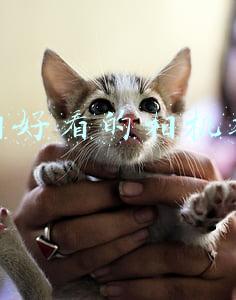 照相好看的相机软件
