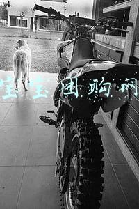 宝宝团购网