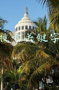 搜索关键字