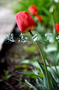 招聘标题怎么写吸引人