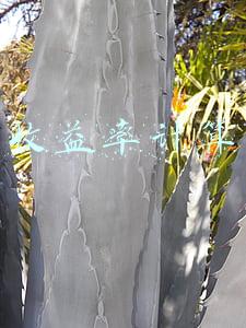 收益率计算