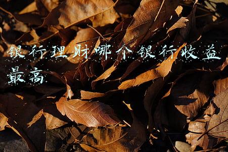 银行理财哪个银行收益最高