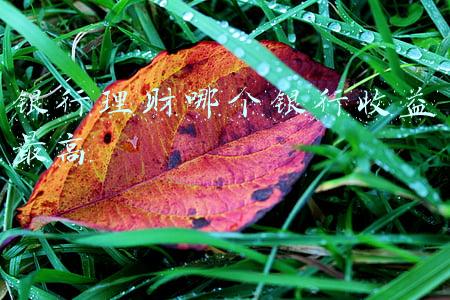 银行理财哪个银行收益最高