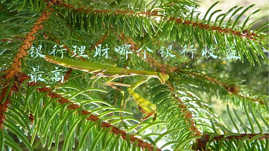 银行理财哪个银行收益最高