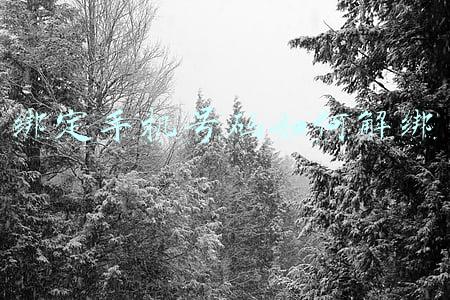 绑定手机号码如何解绑