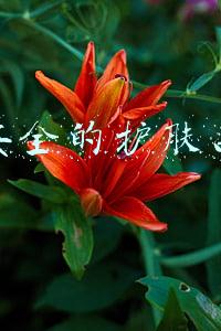 安全的护肤品