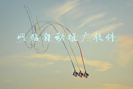 网站自动推广软件