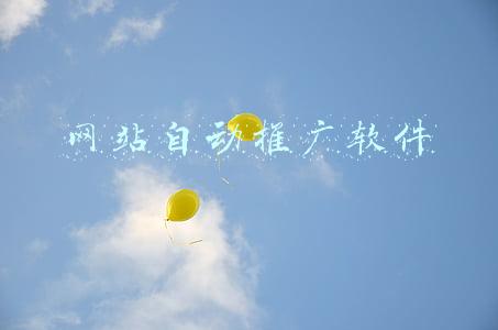 网站自动推广软件