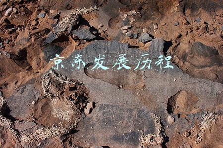 京东发展历程
