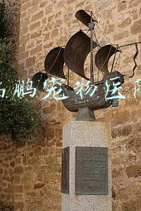 瑞鹏宠物医院招聘(宠物医疗资本瓜分战方始)