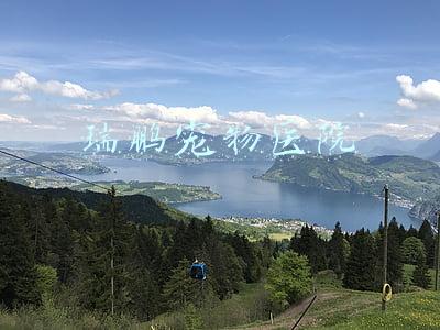瑞鹏宠物医院