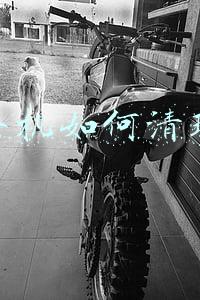 苹果手机如何清理垃圾