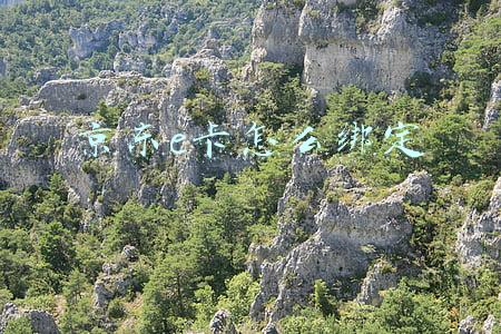 京东e卡怎么绑定