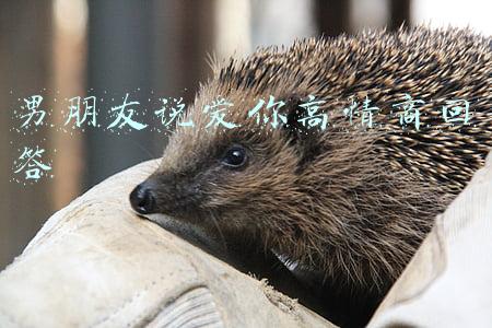 男朋友说爱你高情商回答