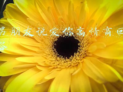 男朋友说爱你高情商回答