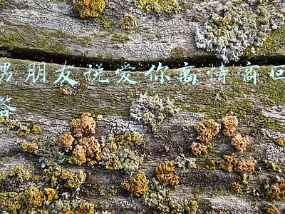 男朋友说爱你高情商回答