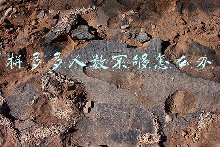 拼多多人数不够怎么办