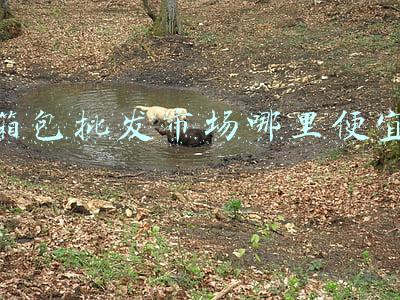 箱包批发市场哪里便宜
