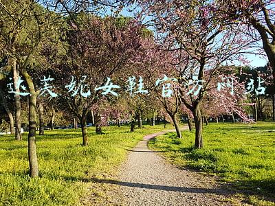 达芙妮女鞋官方网站