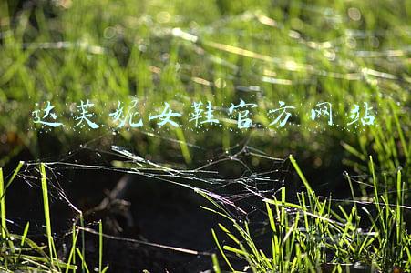 达芙妮女鞋官方网站