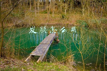 发膜怎么用