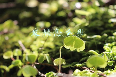 发膜怎么用