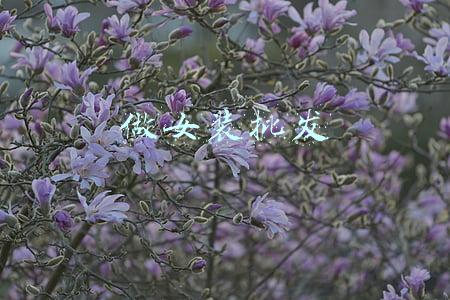 做女装批发