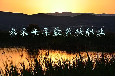 未来十年最紧缺职业