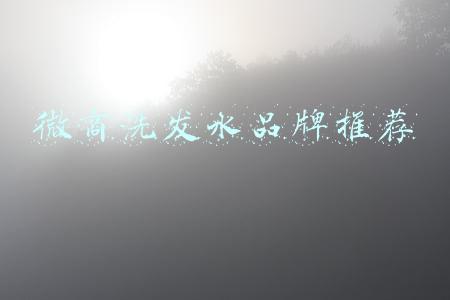 微商洗发水品牌推荐