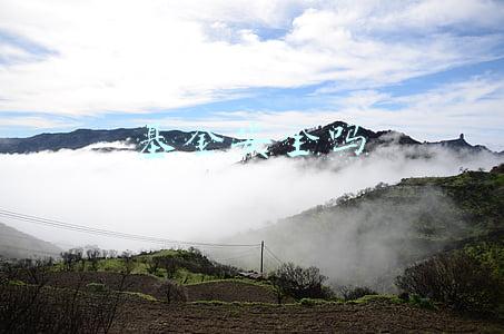 基金安全吗