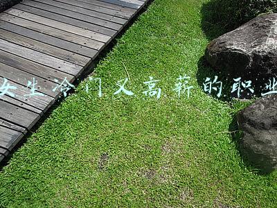 女生冷门又高薪的职业