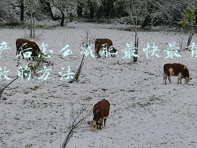 产后怎么减肥最快最有效的方法