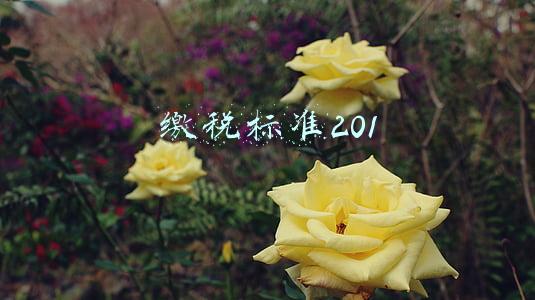 缴税标准201