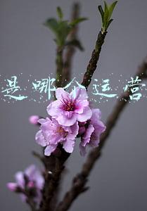 131是哪个运营商
