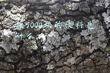 像5000块的饮料是什么