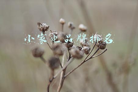 小家电品牌排名