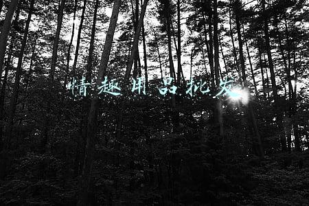 情趣用品批发