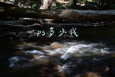 ps多少钱